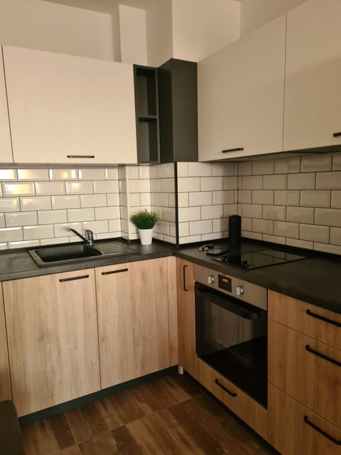 Kitchen or kitchenette, minibar, pet friendly, stove