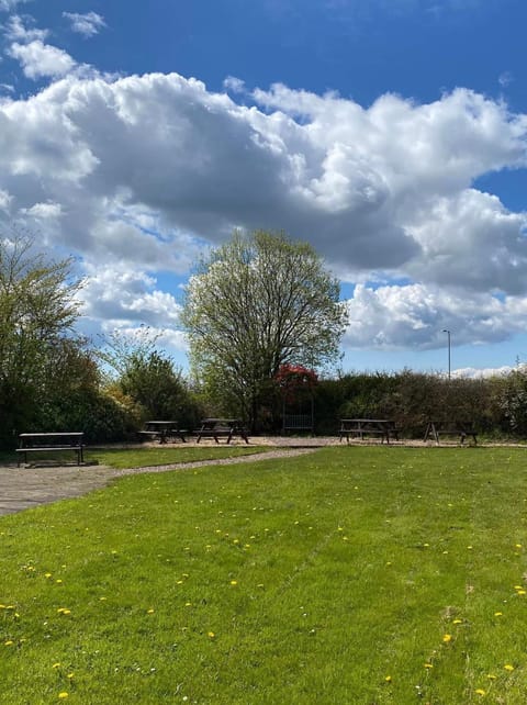 Natural landscape, Garden, Garden view