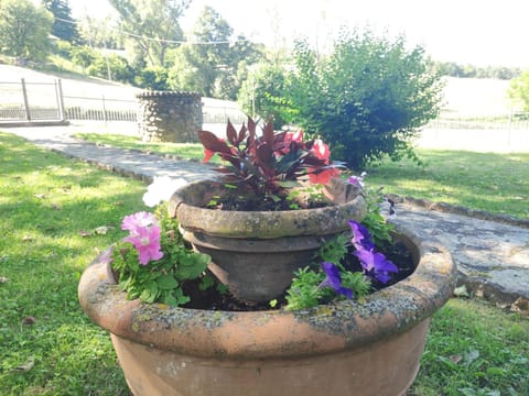 Villetta con giardino House in Emilia-Romagna