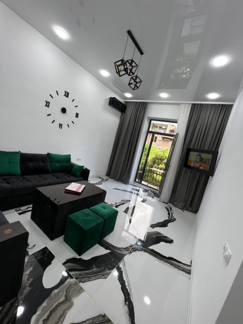 Communal lounge/ TV room, TV and multimedia, Living room, air conditioner