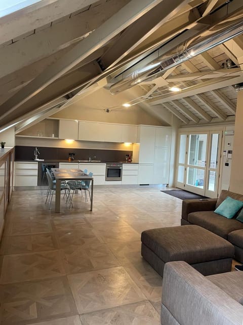 Central, big terrace, near river Apartment in Timisoara