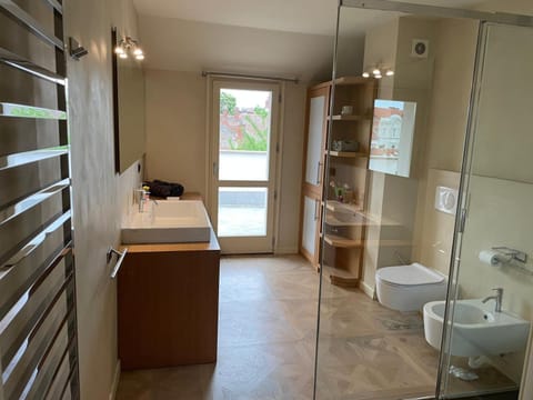 Central, big terrace, near river Apartment in Timisoara