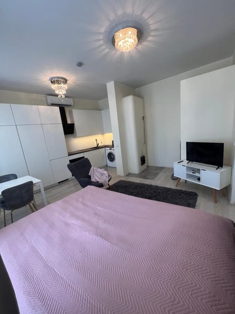 Bed, Kitchen or kitchenette, Living room