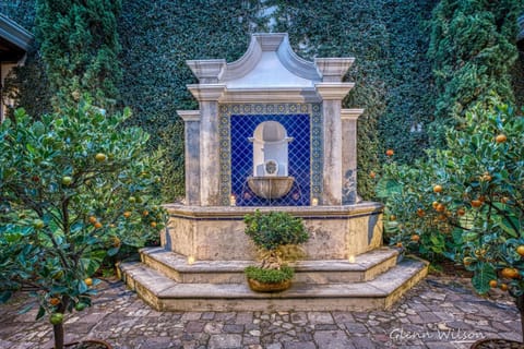 Garden view