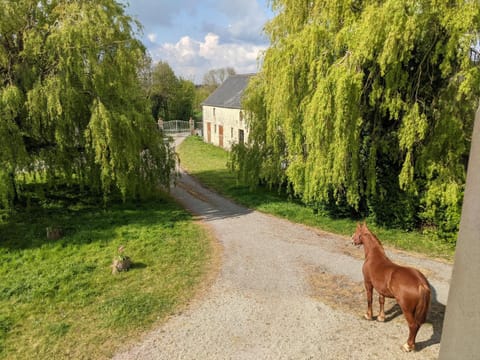 Day, Natural landscape, Inner courtyard view