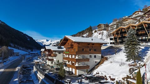 Apart-Hotel Forellenhof Hotel in Salzburgerland