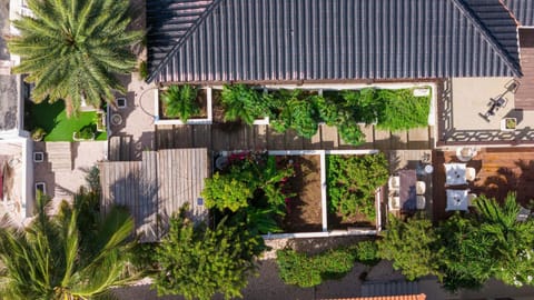 Garden, Swimming pool