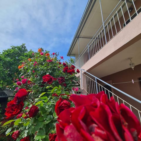 Day, Balcony/Terrace, Garden view