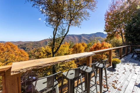 Wildcat Chalet House in Seven Devils