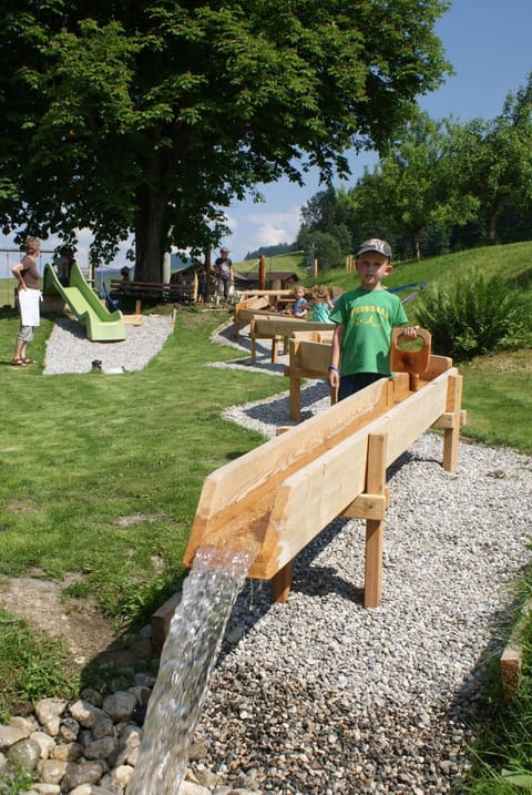 Chaletwohnung Lederer Apartment in Salzburgerland