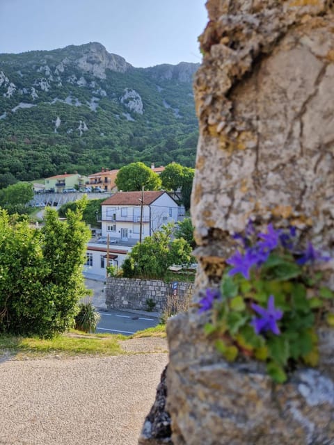 Property building, Nearby landmark, Spring, Day, Natural landscape, City view, Landmark view, Mountain view, Street view, Inner courtyard view