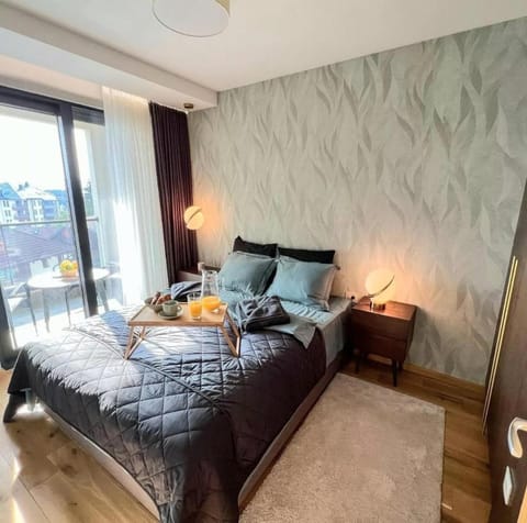 Happy Dreams Spa 3 Apartment in Zlatibor