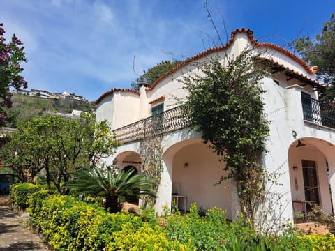 Property building, Garden, Garden view