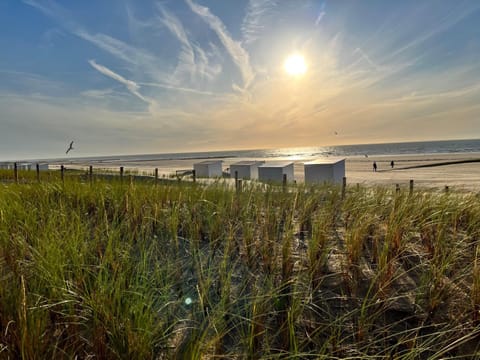 Beach, Sea view, Sunrise