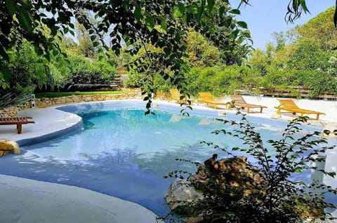 Swimming pool, Swimming pool