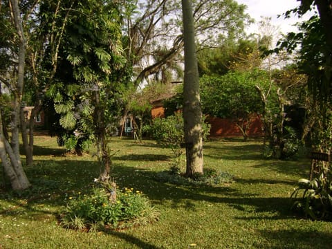 Natural landscape, Garden, Garden, Garden view