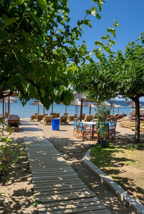 Day, Beach, Sea view, sunbed
