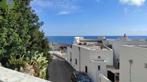 Property building, Natural landscape, Sea view