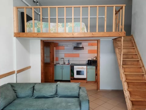 Spacy apartment in Kaunas center Apartment in Lithuania