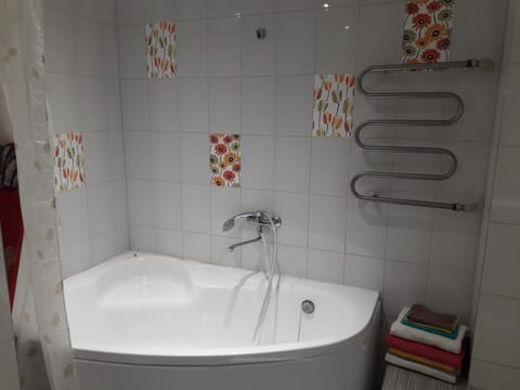 Spacy apartment in Kaunas center Apartment in Lithuania