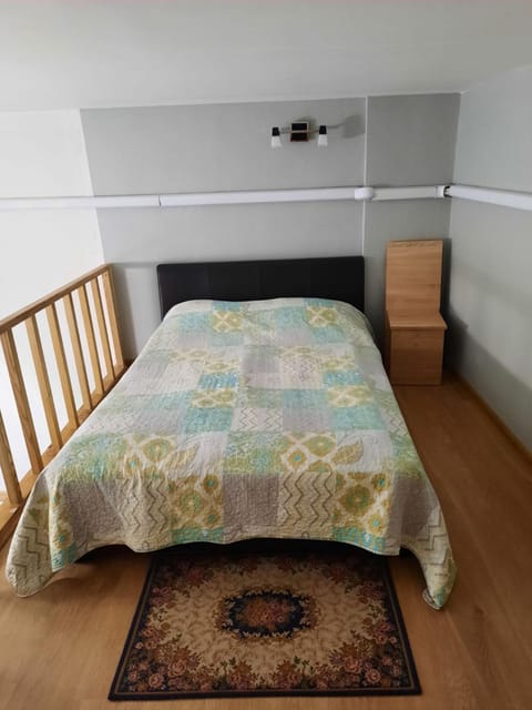 Spacy apartment in Kaunas center Apartment in Lithuania