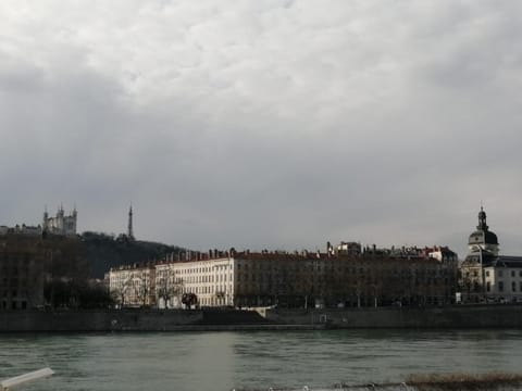 Loft ViaRhôna, Grand loft en Centre-Ville Vacation rental in Lyon