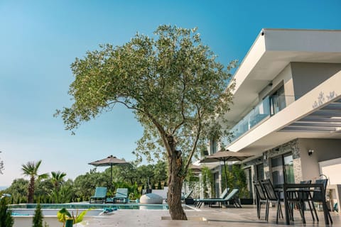 Property building, Day