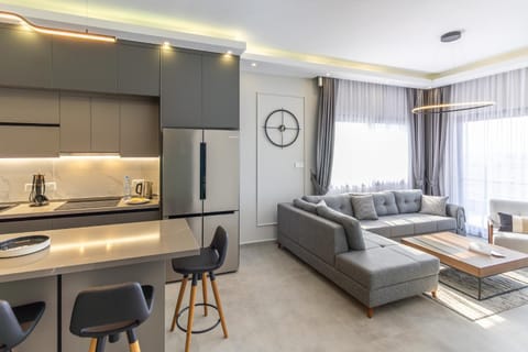 Living room, kitchen