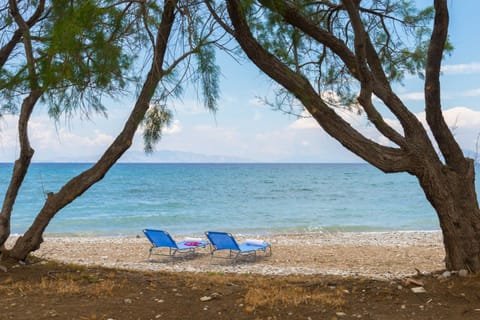 Day, Activities, Summer, Fishing, Fishing, View (from property/room), Beach, Windsurfing, On site, Sea view, Area and facilities, Sports, Sports, Entertainment, Location