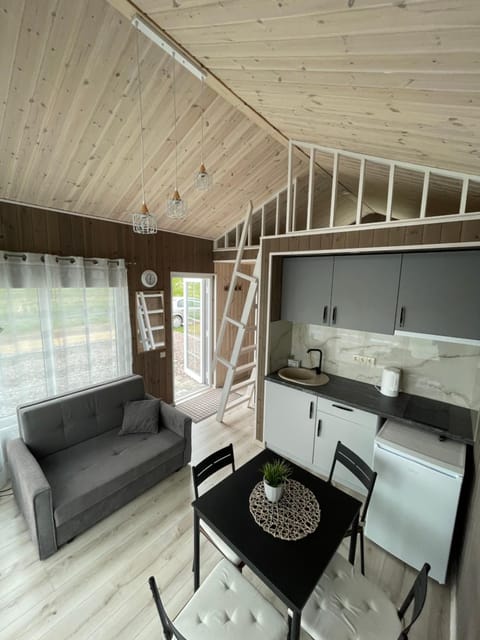 Kitchen or kitchenette, Living room, Seating area, Dining area