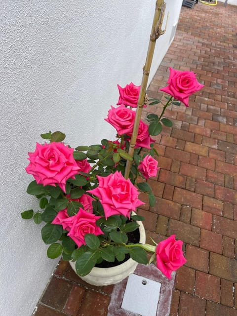 La perla del mare 2 Bed and Breakfast in La Caletta