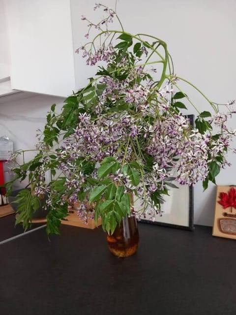 Gesyl Apartment Apartment in Argolis, Greece