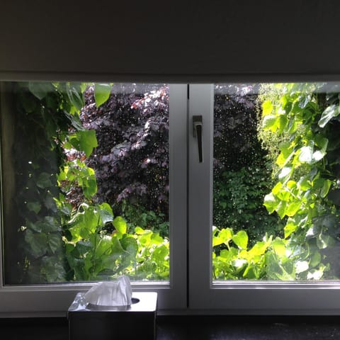 Inner courtyard view