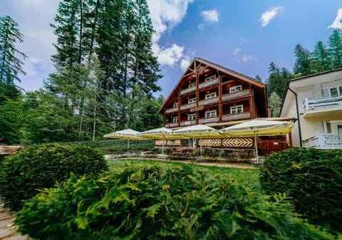 Property building, Day, Natural landscape