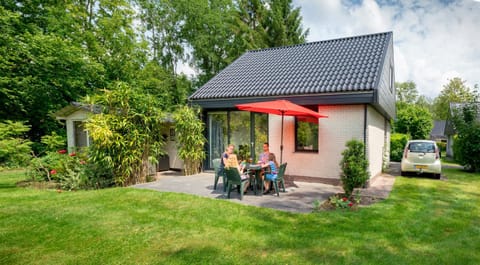 Patio, People, Garden, Dining area
