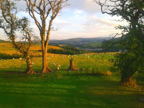 Nearby landmark, Spring, Natural landscape