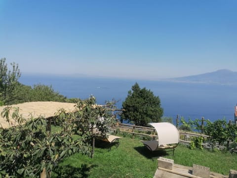 Day, Garden, Garden, Landmark view, Mountain view, Sea view