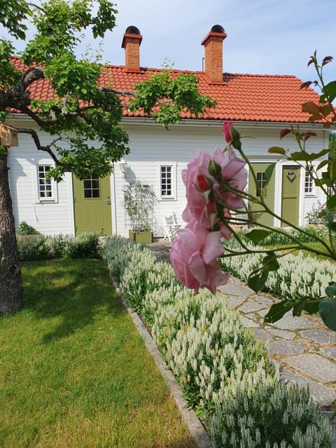 Property building, Summer, Garden view