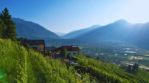 Hillepranter Apartment in Trentino-South Tyrol