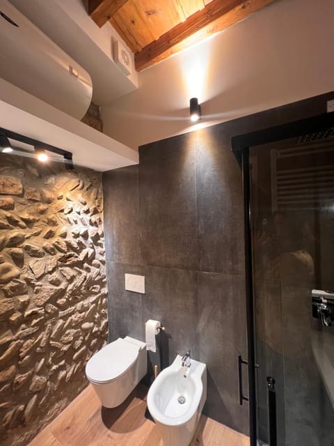 Shower, Toilet, Bathroom, bidet