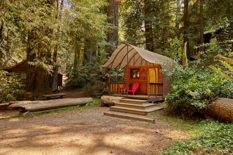 Big Sur Campground and Cabins Cabin in Sierra Nevada