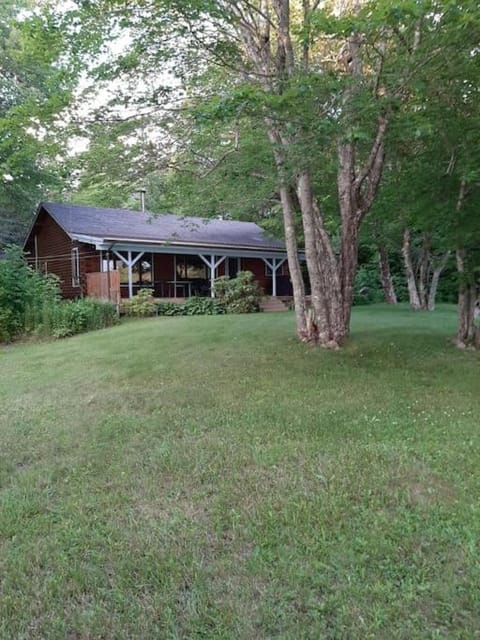Property building, Garden, Garden view