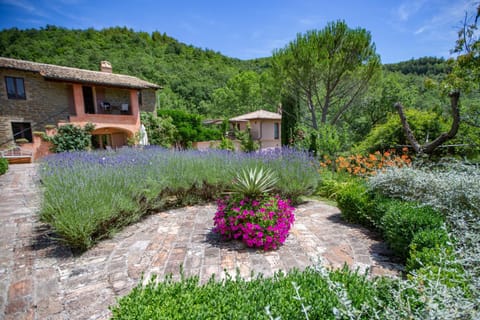 Facade/entrance, Garden