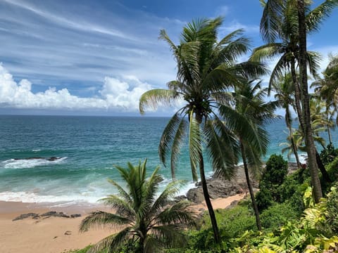 Natural landscape, Beach, Sea view