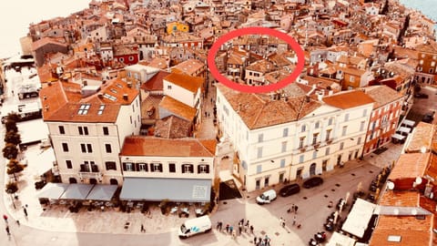 Bird's eye view, Location