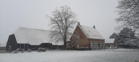 Property building, Winter