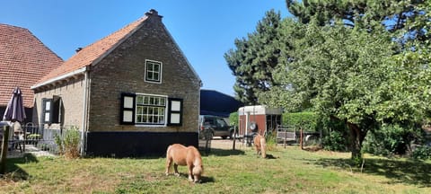 Mariahoeve Farm Stay in Zeeland, Netherlands