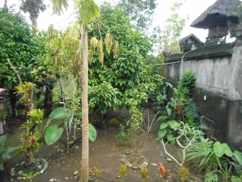 Candra Homestay Besakih Vacation rental in Selat