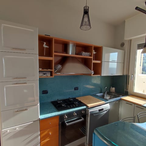 Kitchen or kitchenette, dishwasher, minibar, oven, pet friendly, stove