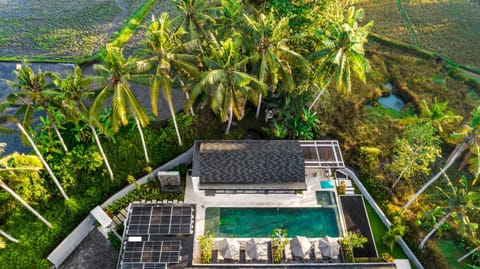 Property building, Natural landscape, Swimming pool, internet